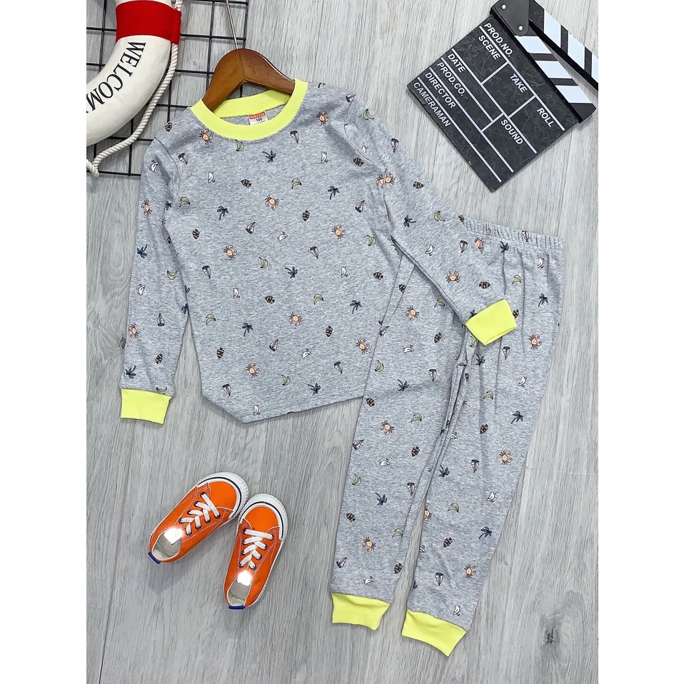 Bộ bé trai, đồ bộ bé trai dài tay size đại thun cotton VNXK Jennie kids J464