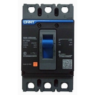 Aptomat khối mccb chint nm1-125c/3300-100a