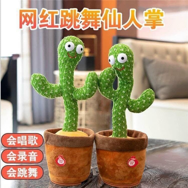 Xương rồng uốn éo
