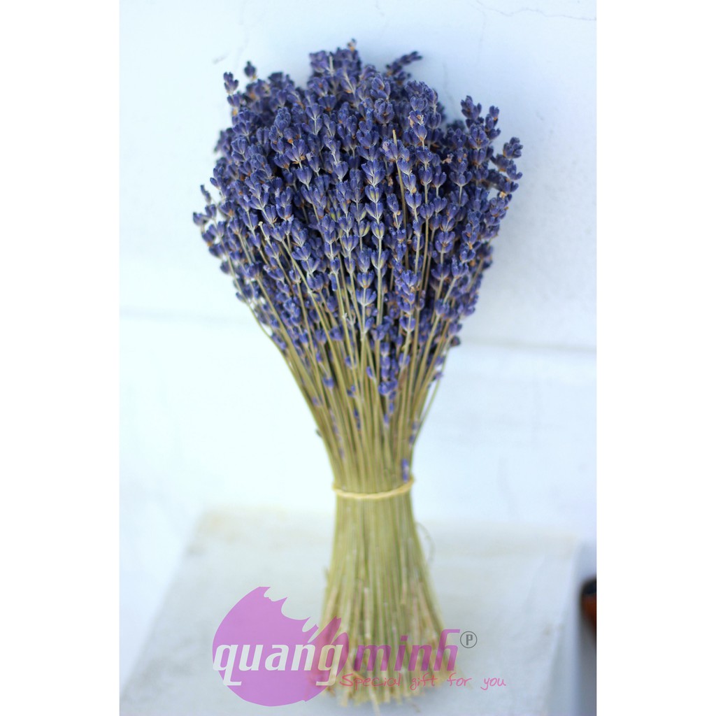 Bó hoa lavender khô thuần túy