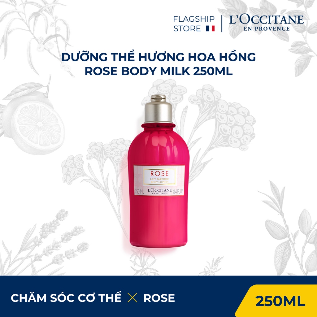 Sữa Dưỡng Thể Hương Hoa Hồng L'Occitane Rose Body Milk 250ml