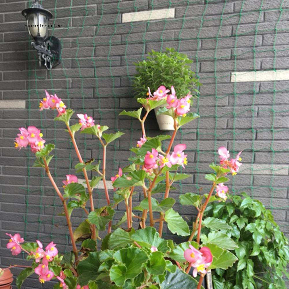 Lưới hỗ trợ trồng cây dây leo bằng nylon