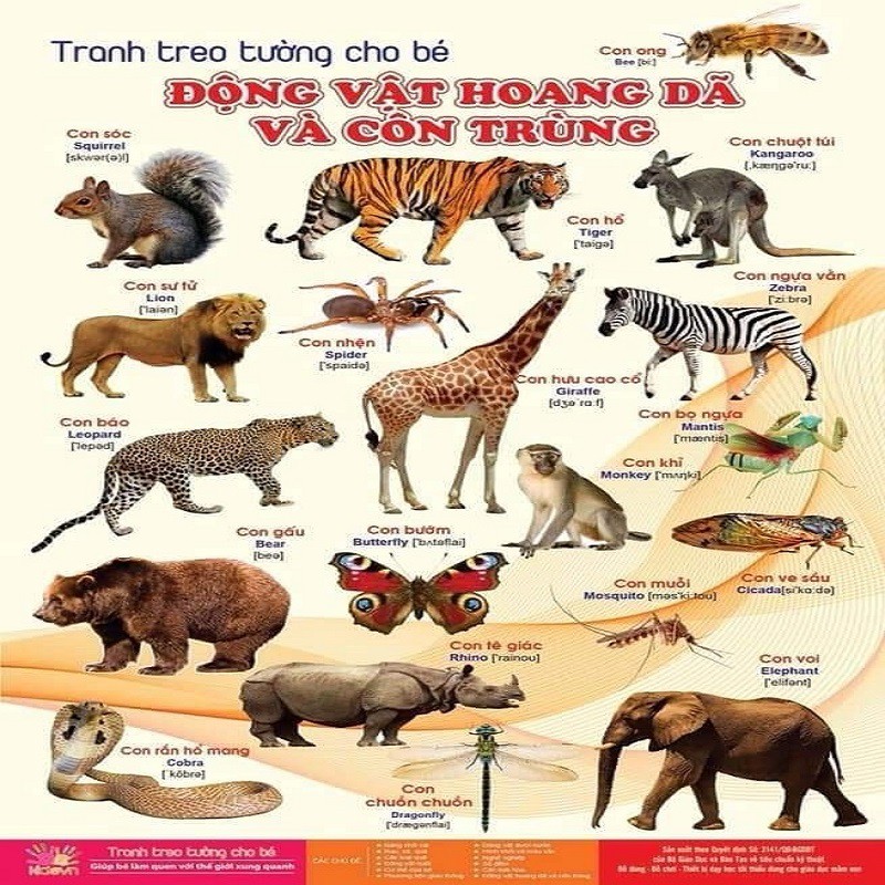 BỘ TRANH TREO TƯỜNG 14 CHỦ ĐỀ VỀ THẾ GIỚI XUNG QUANH CHO TRẺ TỪ 6 THÁNG TUỔI