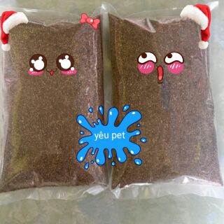 Cát buddy ấn độ