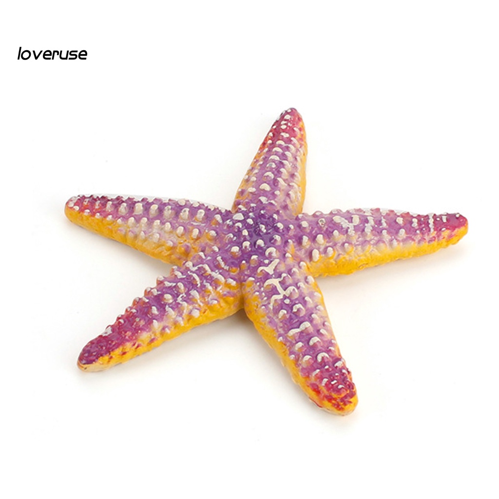 Đồ trang trí Sao Biển / Mực / Tôm Giả Trang Trí Sinh Động
