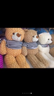 Gấu bông teddy khổ vải 1m2