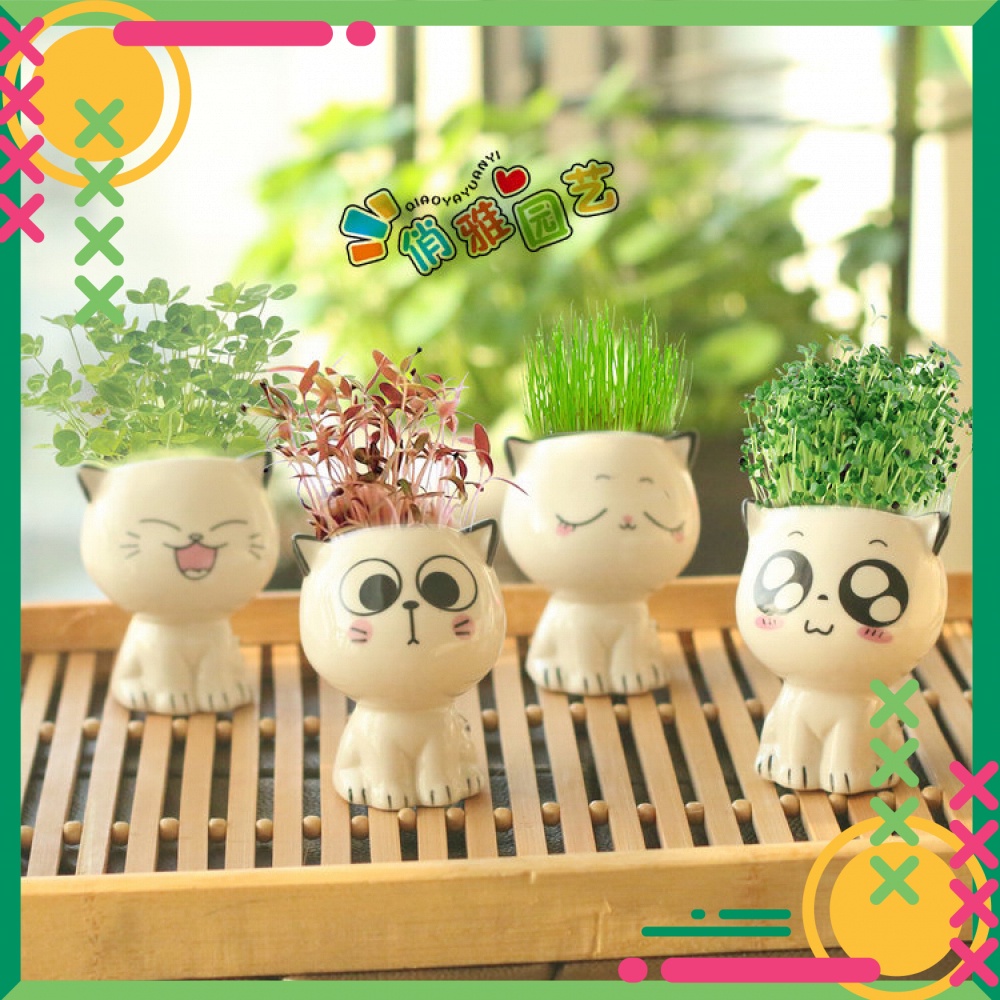 Hạt Giống, Đất Và Chậu Cây Mèo Dễ Thương Tự Trồng Dùng Trang Trí Chống Bức Xạ, Dùng Làm Quà Tặng