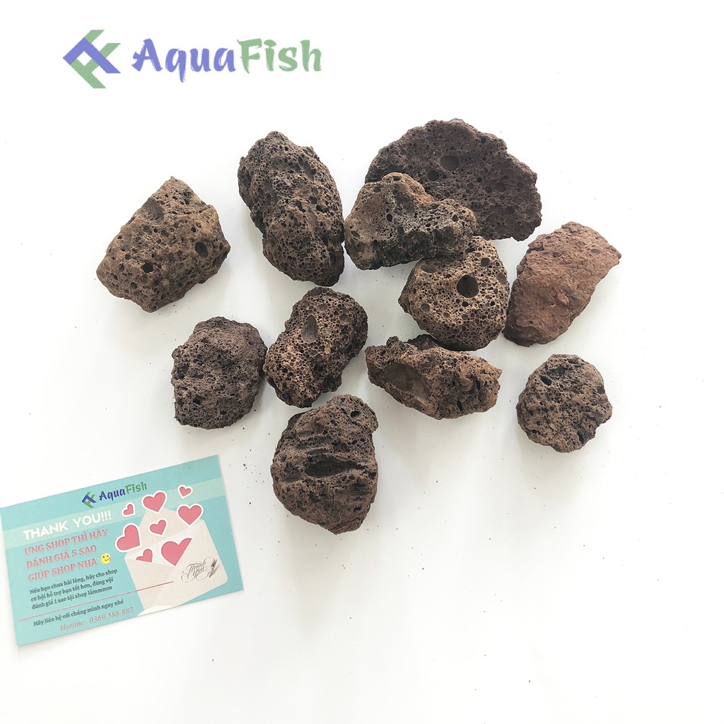 Nham Thạch Trung Quốc Túi 1kg Size To (vật liệu lọc cao cấp, nhẹ, độ xốp rỗng cao)