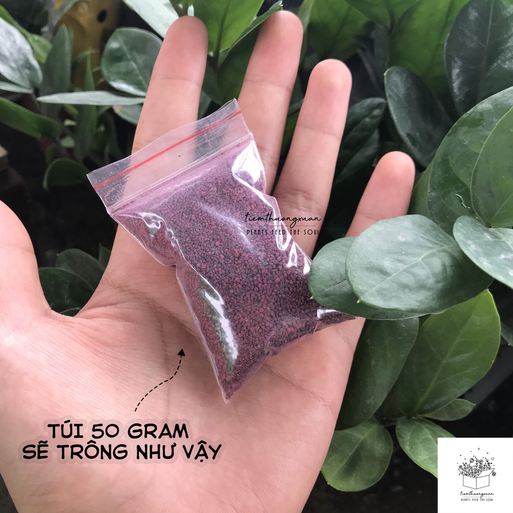 Thuốc tím trị rệp cho sen đá, xương rồng, cây cảnh - Gói 50 gram