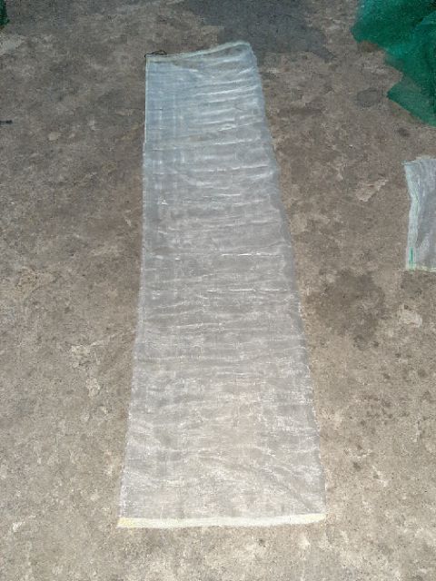 Túi lọc cá tạp , trứng cá tạp trong ao combo 10 cái