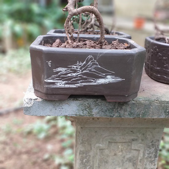 Chậu trồng cây cảnh bonsai, trồng cây mini để bàn, chậu đất nung oval, chậu đất nung chữ nhật