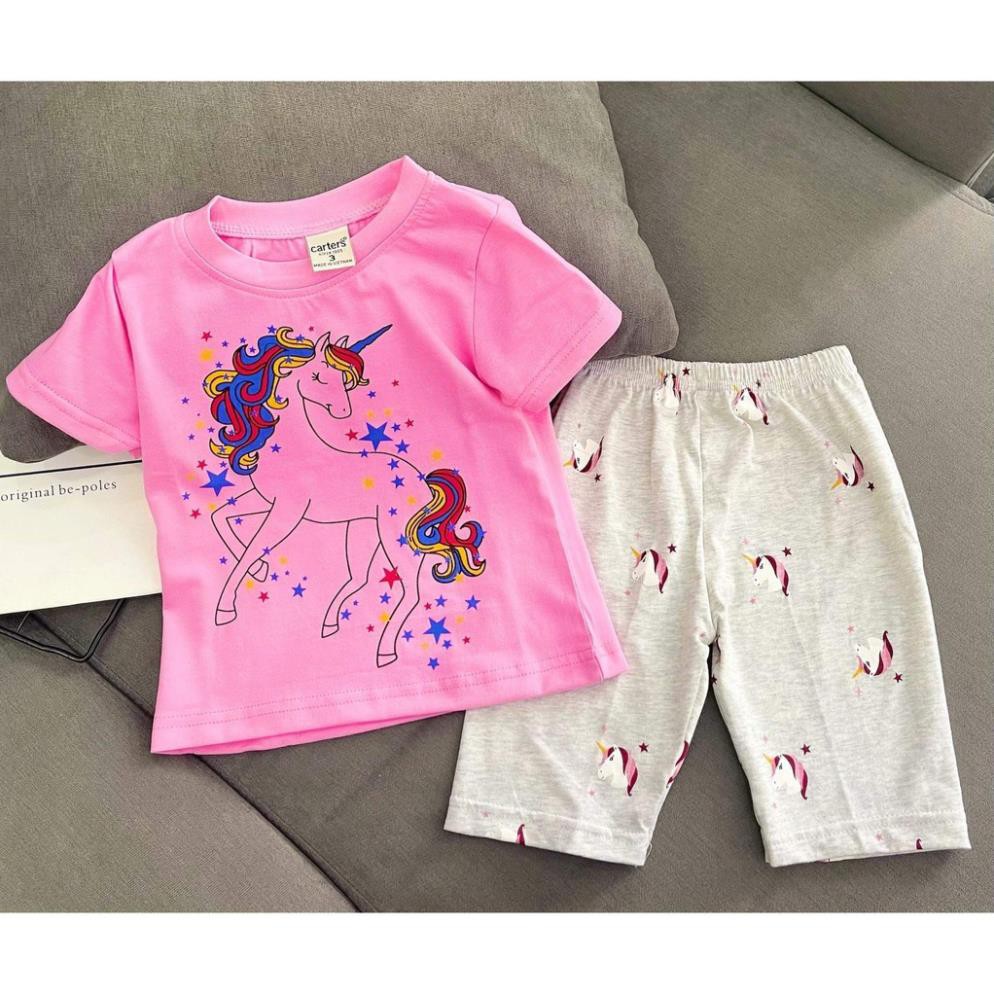 Bộ ngố pony thun cotton xuất hoạt hình cho bé 10 đến 26kg sỉ quần áo trẻ em pikakids