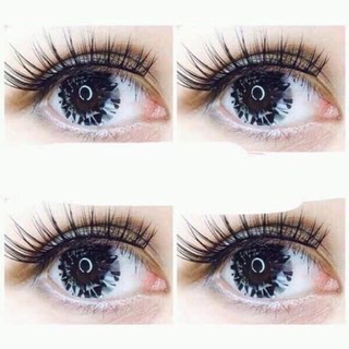 Lens Gray Daimond