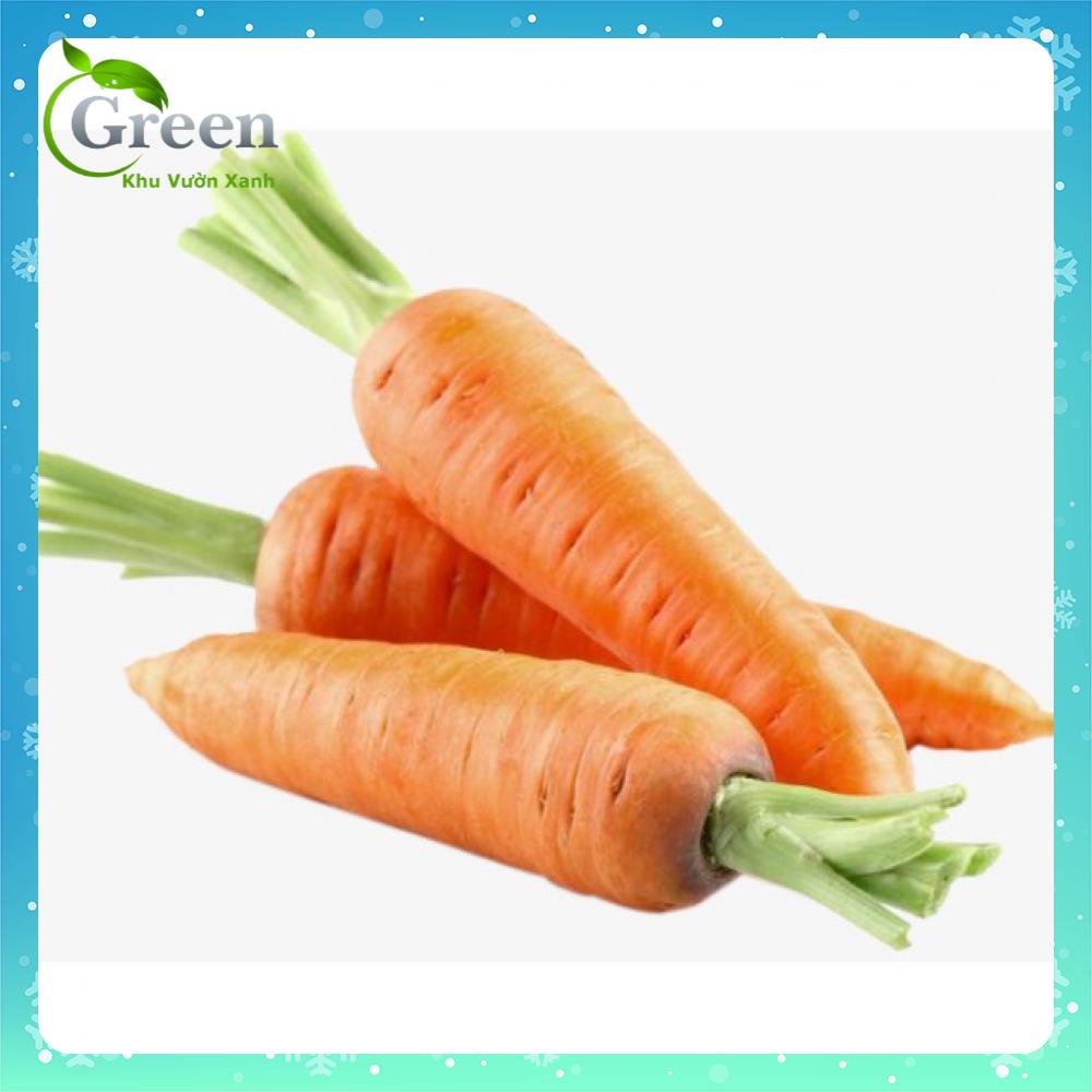 Hạt Giống Củ Cà Rốt Dễ Trồng, Chăm Sóc