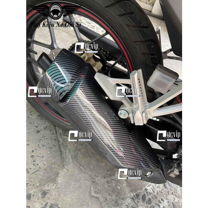 [Sale Khủng] Ốp Che Pô Và Chụp Đích Pô Carbon Winner X V2, V3, Winner X 2019 - 2022 4325