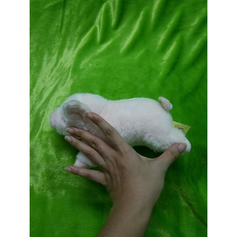 Gấu bông con heo chính hãng Miyoni Aurora  như thật