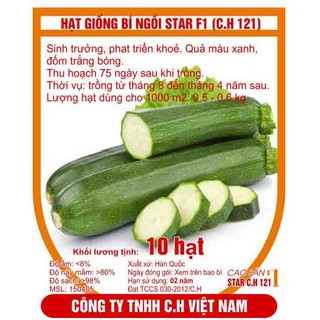 Hạt giống bí ngồi xanh