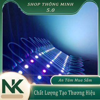 Led 12V 3 Bóng Siêu Sáng 🍀Đèn 12V trang trí Bể Cá deco tiểu cảnh