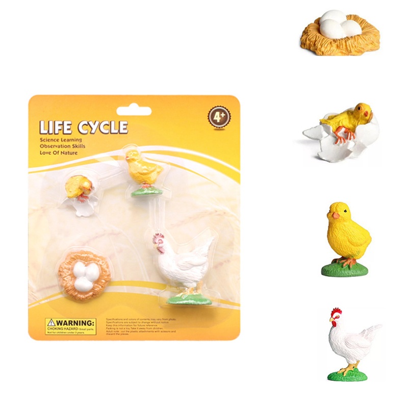 Mô Hình Côn Trùng Bằng Nhựa Đồ Chơi Giáo Dục Cho Bé