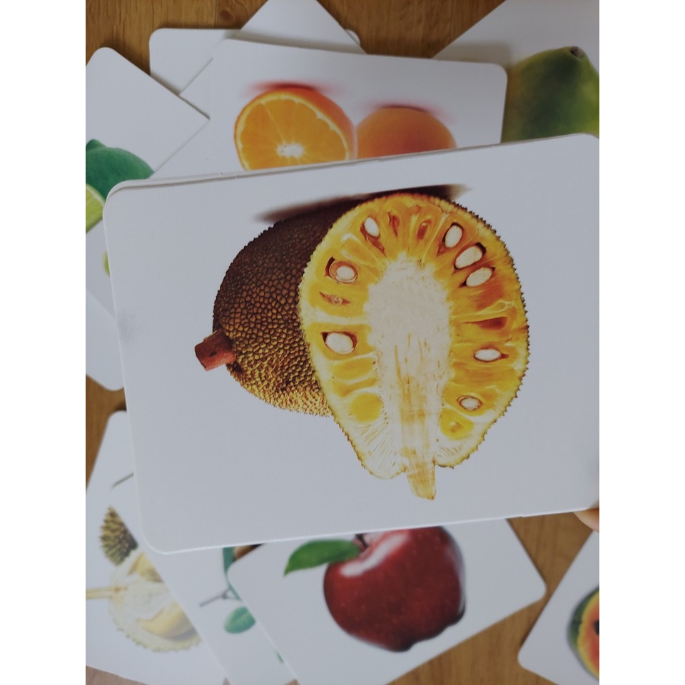Thẻ học thông minh kích thước lớn 12x16cm chủ đề hoa quả -  Flashcard TGXQ Glenn doman chuẩn