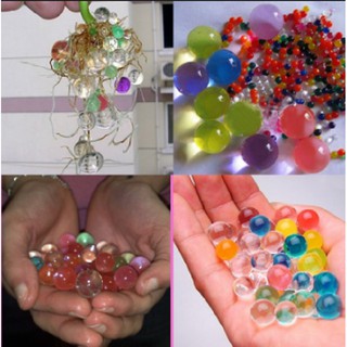 10 gói Hạt Tinh Thể Trồng Cây Trang Trí
