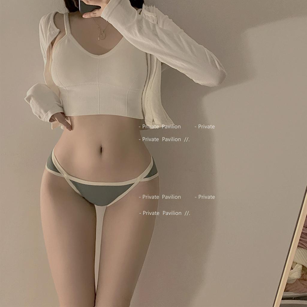 Quần lót thun cotton viền màu đơn giản Catsty B1-09