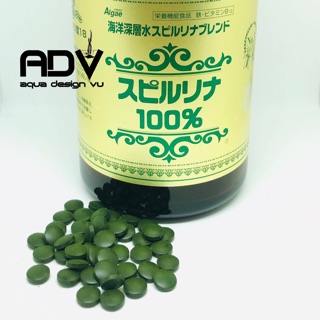 Tảo xoắn Nhật Spirulina - bịch 100 viên