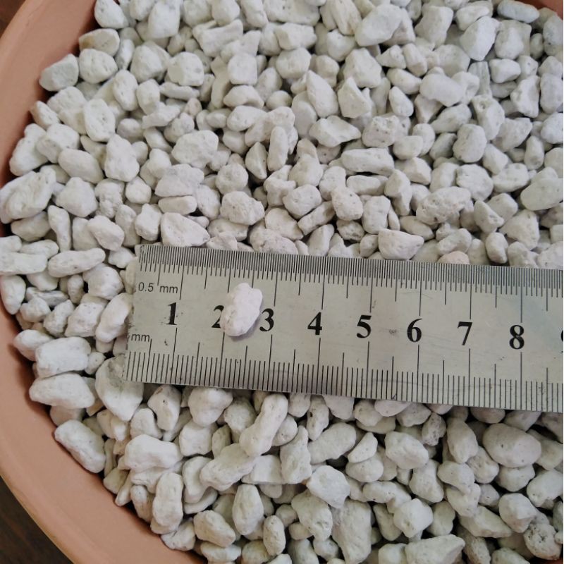 1 Kg Đá Pumice/ Đá Lông Vũ Trồng Sen Đá, XR