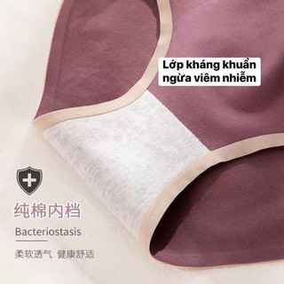 QUẦN CHIP KHÁNG KHUẨN (SET 5 CÁI)