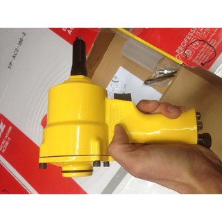 súng bắn đinh rút Riveter