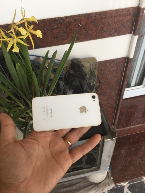 Nắp lưng iphone 4,4s bóc máy | BigBuy360 - bigbuy360.vn