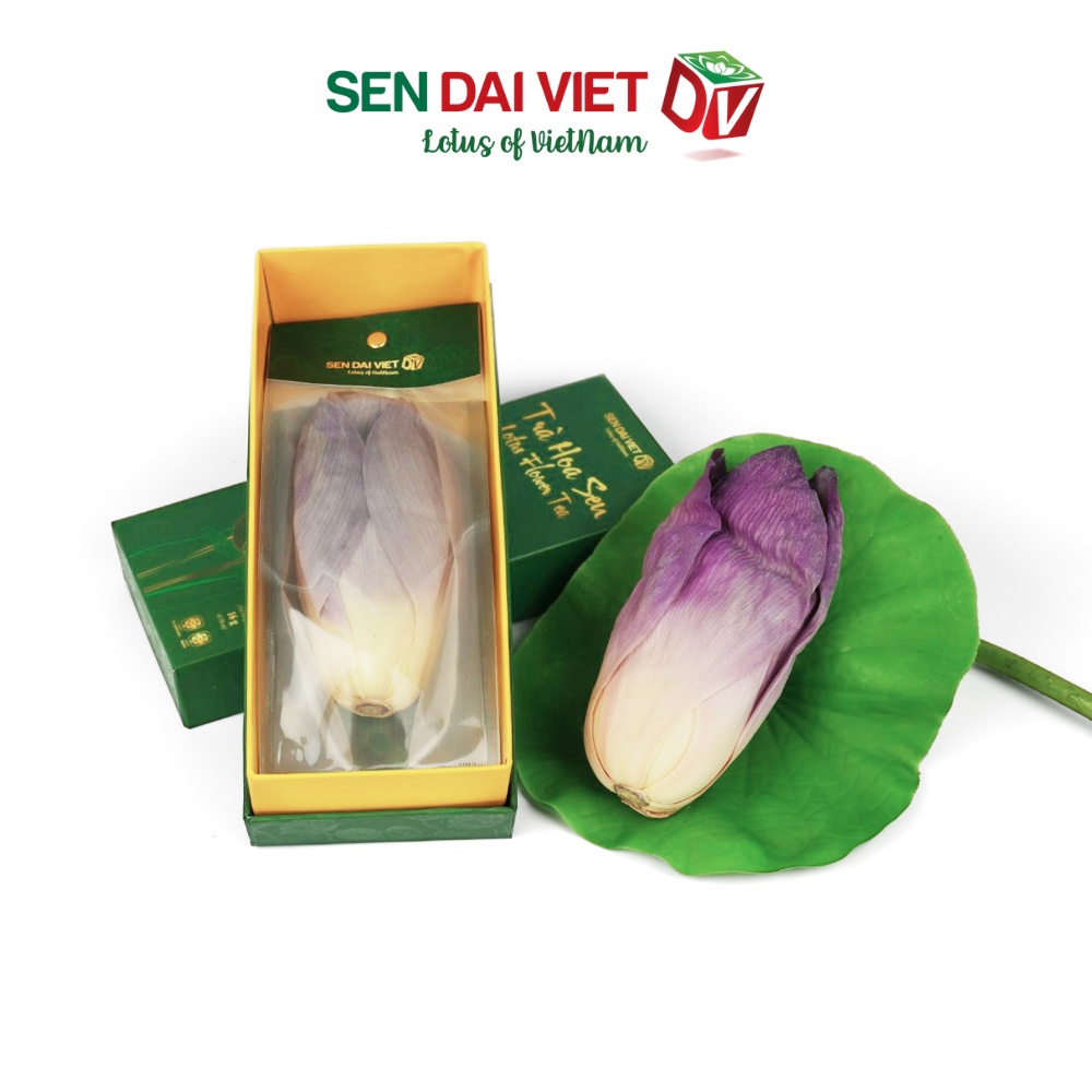 Trà Hoa Sen Sấy-Hộp Trà Cao Cấp,Trà Xanh Thượng Hạng-Sen Đại Việt-Hộp 16g