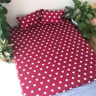 SÉT GA GỐI POLY COTTON XUẤT HÀN