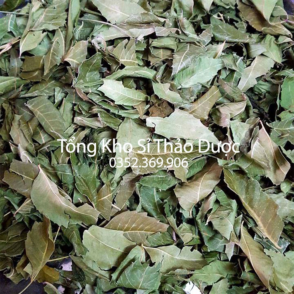 Lá neem khô Ấn Độ 500g (Ổn định, kiểm soát đường huyết)