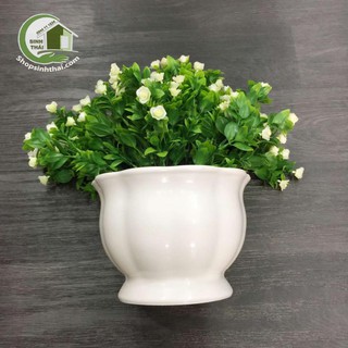 Chậu nhựa trồng cây màu trắng có bầu tròn hình phễu