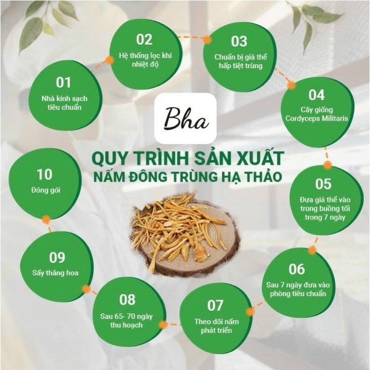 Đông trùng hạ thảo khô sấy thăng hoa BHA [chính hãng]- 20gr