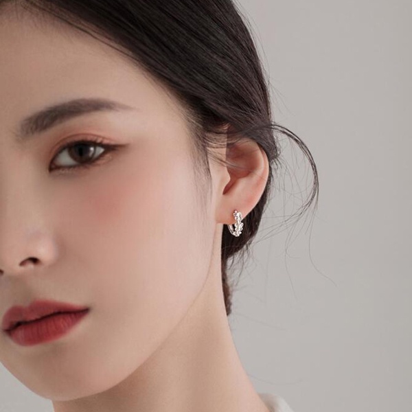 Đôi bông tai mạ bạc s925 hình tròn đính đá sang trọng