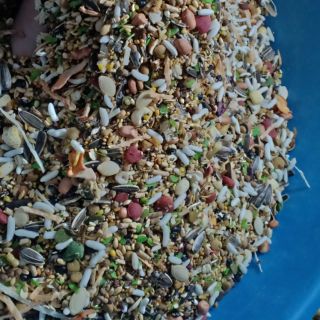Thức ăn trộn siu ngon
