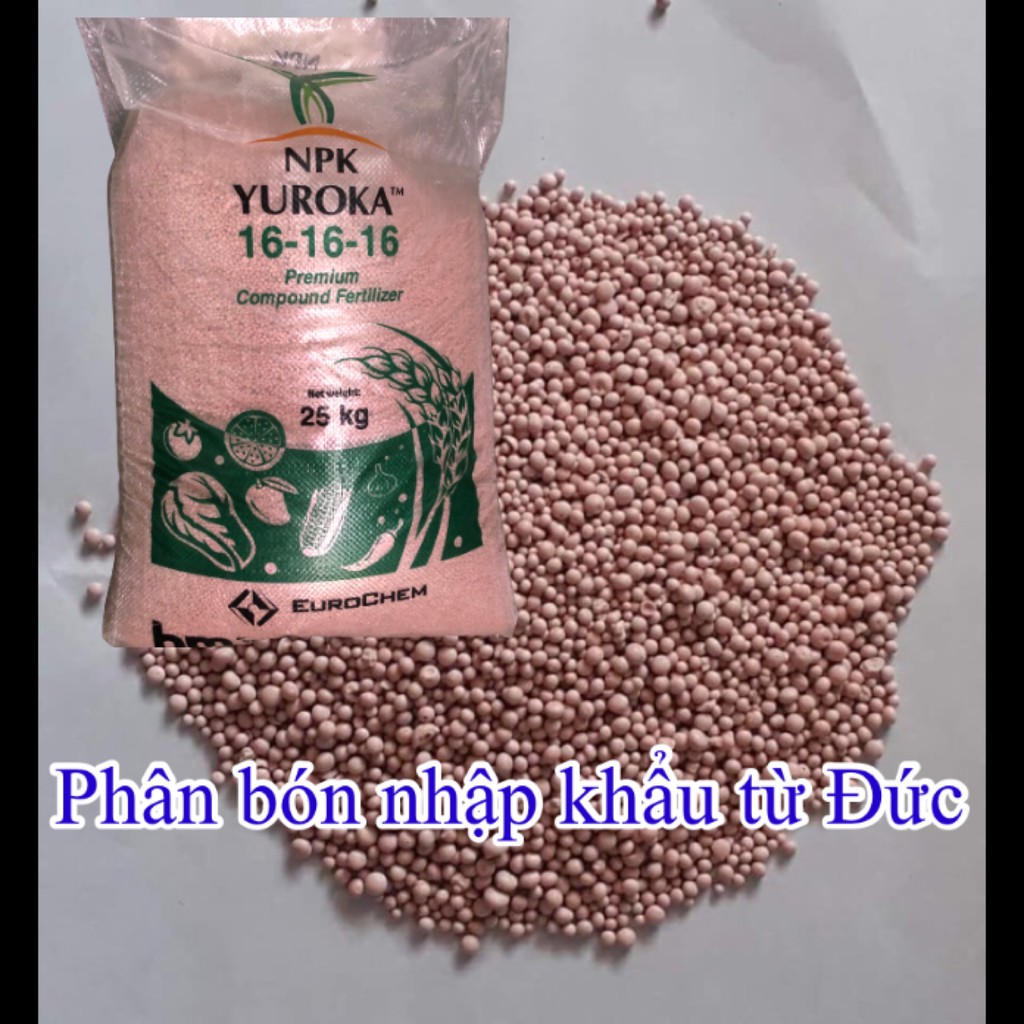 Phân bón NPK 16-16-16 nhập khẩu Đức gói  250gr