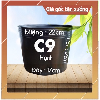 Combo 10 -20-50 chậu nhựa C9