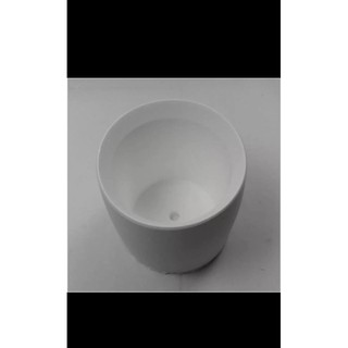 Chậu xi măng trắng COMBO 4 chậu 30k trồng sen đá xương rồng