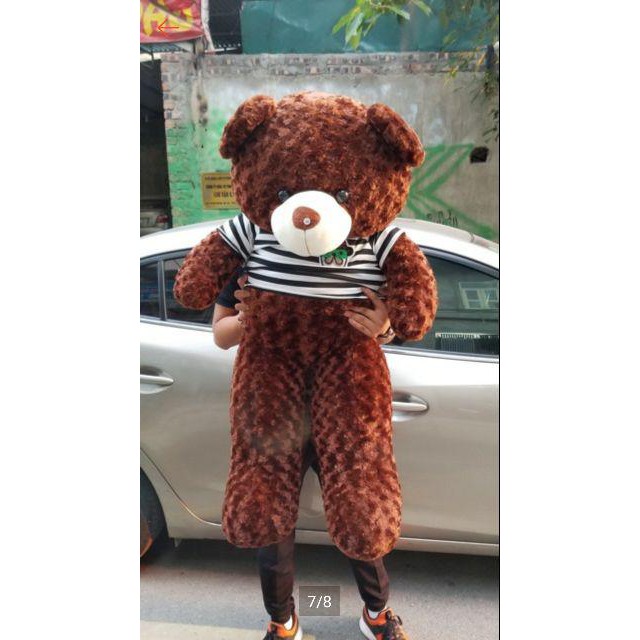 Gấu bông Teddy 1m2 Hàng Cao Cấp - Mẫu Gấu Teddy Đẹp dùng làm Quà Tặng - TD1m2