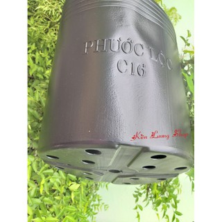 Chậu nhựa đen C16