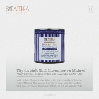 Tẩy Da Chết Body - Shea Terra