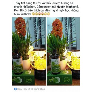 Tinh dầu sả chanh