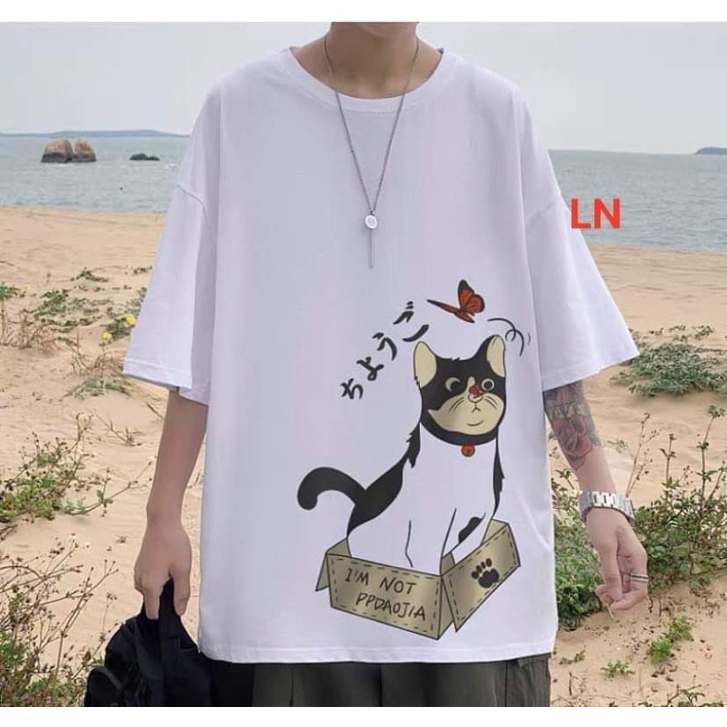 Áo phông mèo bướm chữ tàu DA6