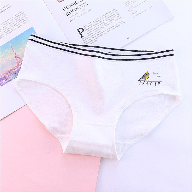 [RẺ HƠN BÁN SỈ ] [ MẪU HOT 2021 ]  Quần Lót Cotton Mịn Màng - Underwear Siêu Xinh - Tặng Kèm Túi Zip - Dễ Dàng Giặt Giũ!