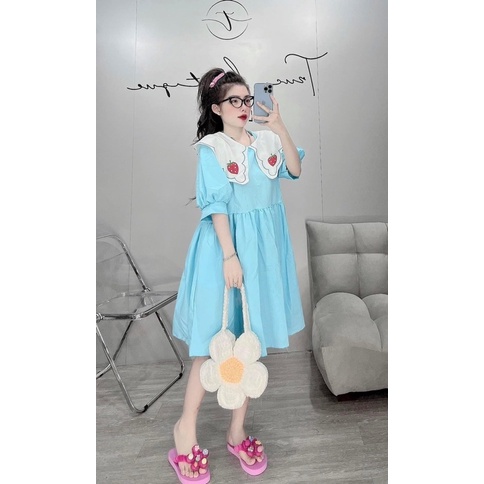ĐẦM BABYDOLL TRÁI DÂU THÊU BIGSIZE 60-100KG