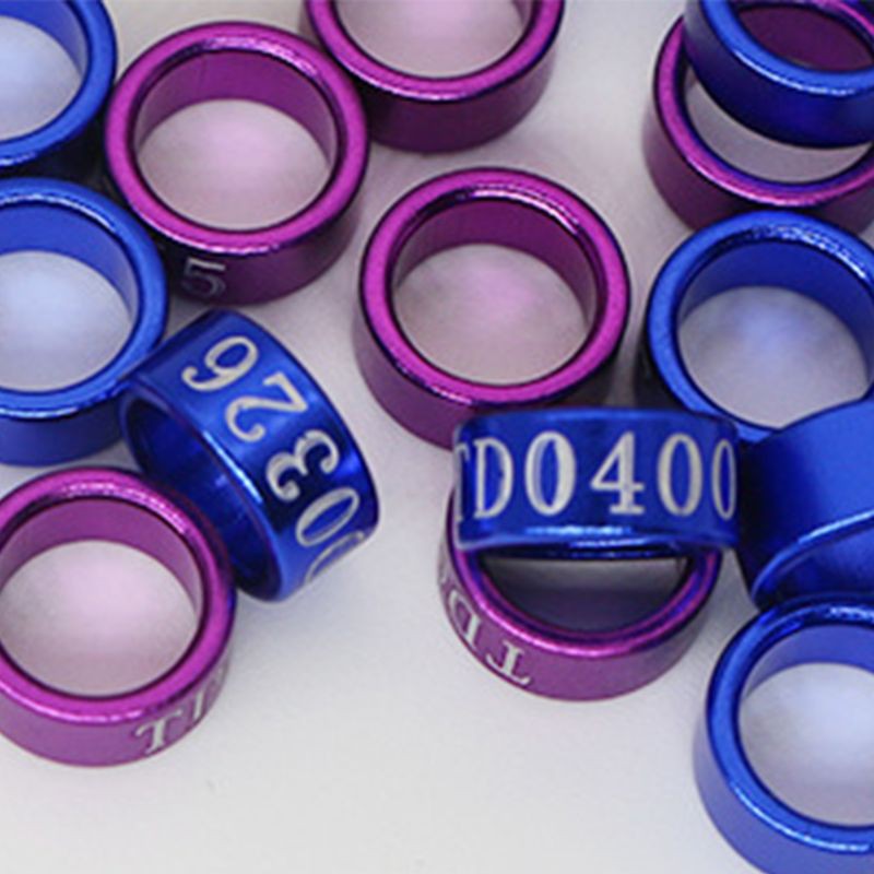 Bộ 50 Vòng Đeo Chân Chim Nhiều Màu Sắc Dành Cho Chim Bồ Câu/Gà Con