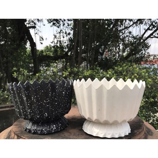 chậu nhựa ly khía